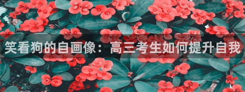 我拥有你的全部樱花漫画